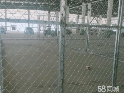 银川市西夏物资仓库  西夏区润恒城常温仓储，可做蔬菜配送，库房图3