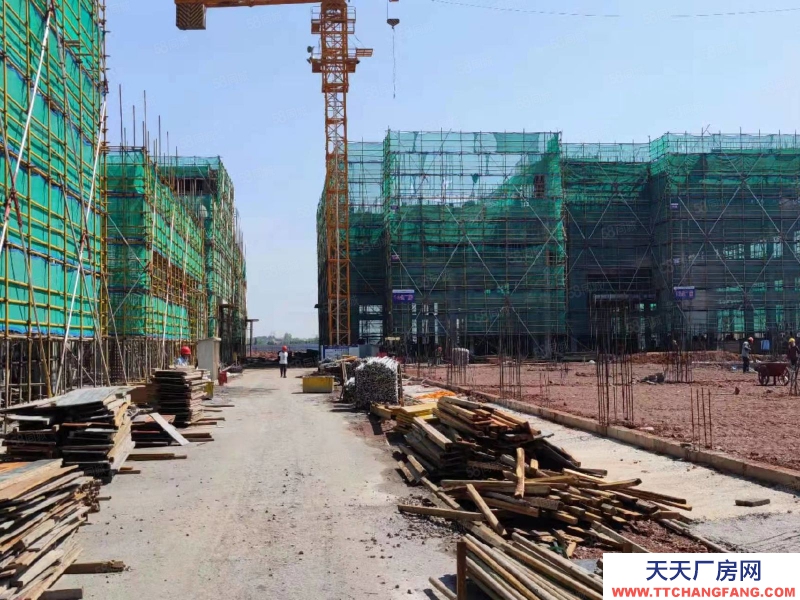 金华市兰溪(出售) 兰溪周边，标准厂房，拥有红本，50年产权