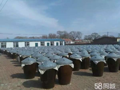 建华高头村 土地 3000平米泡菜厂房图1