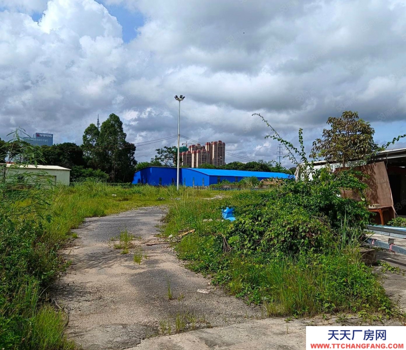 (出租) 阳江江城市区汽车总站对面土地约7000方适合做堆场，金属回收站