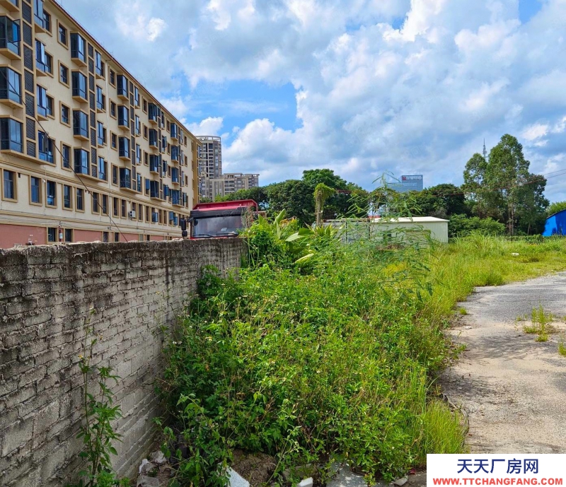(出租) 阳江江城市区汽车总站对面土地约7000方适合做堆场，金属回收站