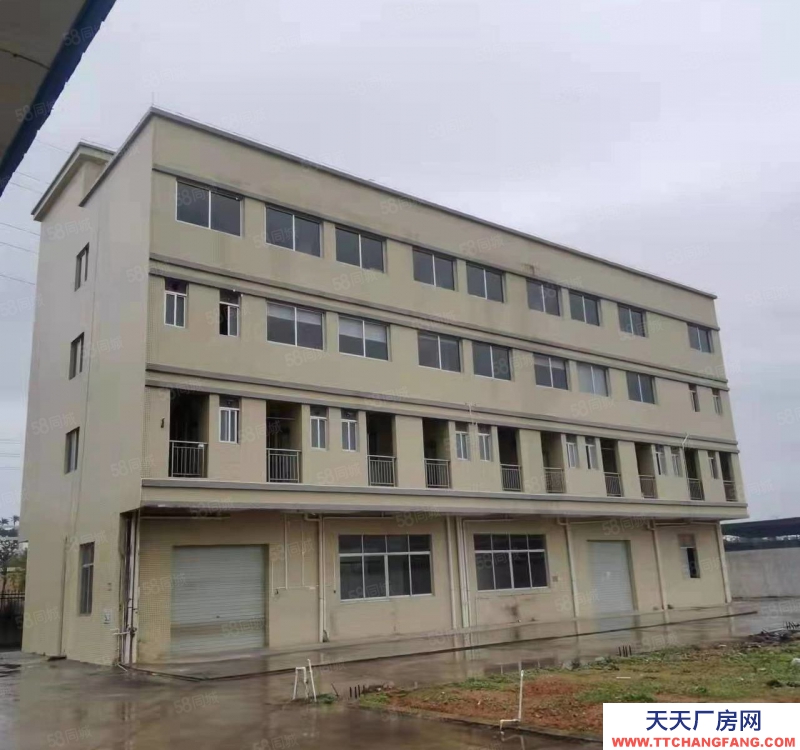(出租) 阳江江城厂房高架桥附近可以独立厂房适合预制菜