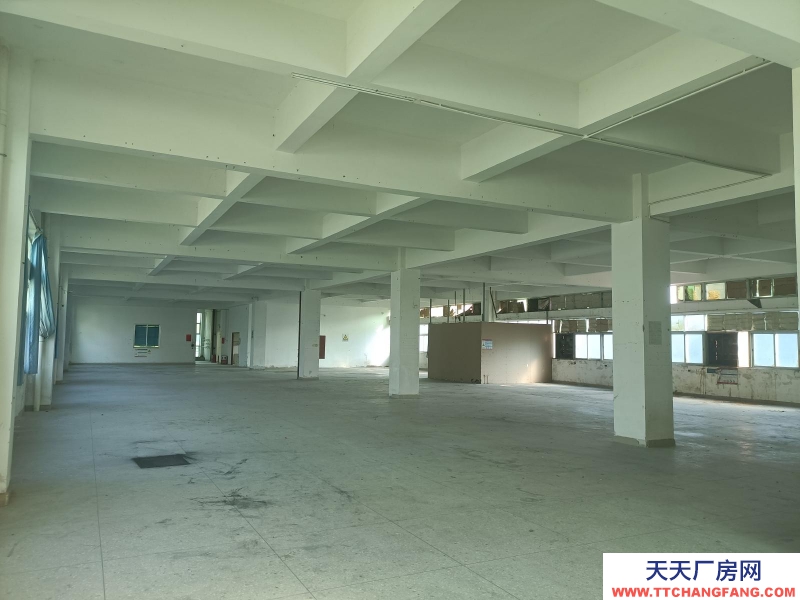 (出租) 阳江阳西标准三层厂房适合电子加工