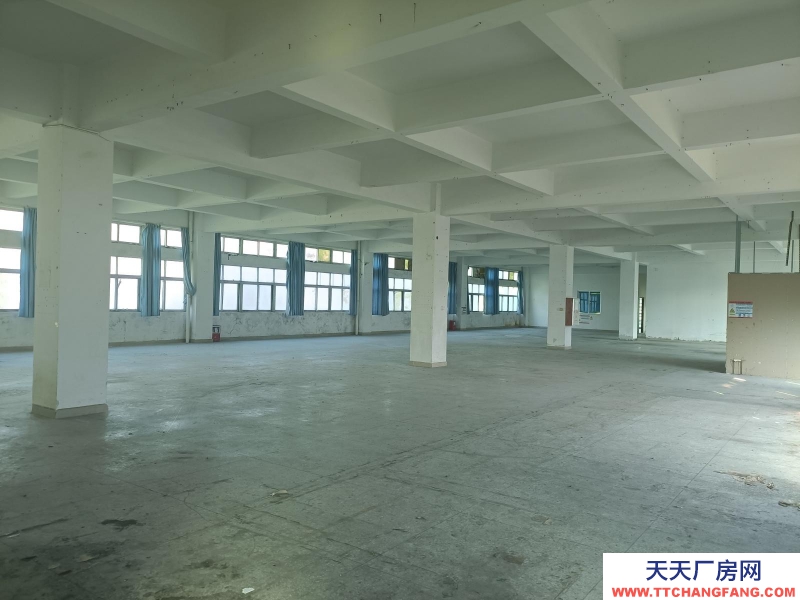 (出租) 阳江阳西标准三层厂房适合电子加工