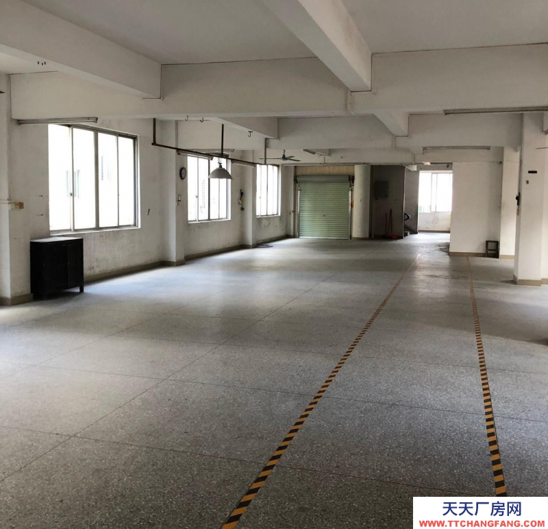 (出租) 阳江阳西自建独立厂房，四面见光，水电，消防齐小型加工