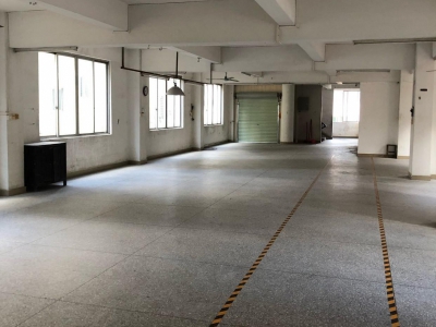 (出租) 阳江阳西自建独立厂房，四面见光，水电，消防齐小型加工图1