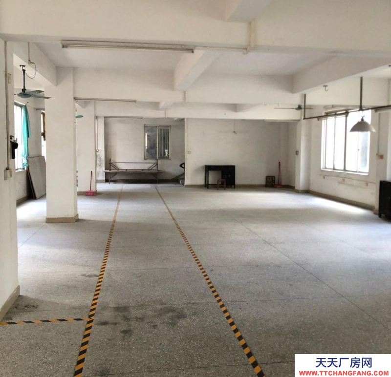 (出租) 阳江阳西自建独立厂房，四面见光，水电，消防齐小型加工