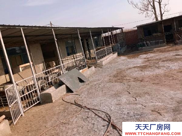 银川市贺兰机加工厂房 民用，前面是四合院儿，后面是羊圈