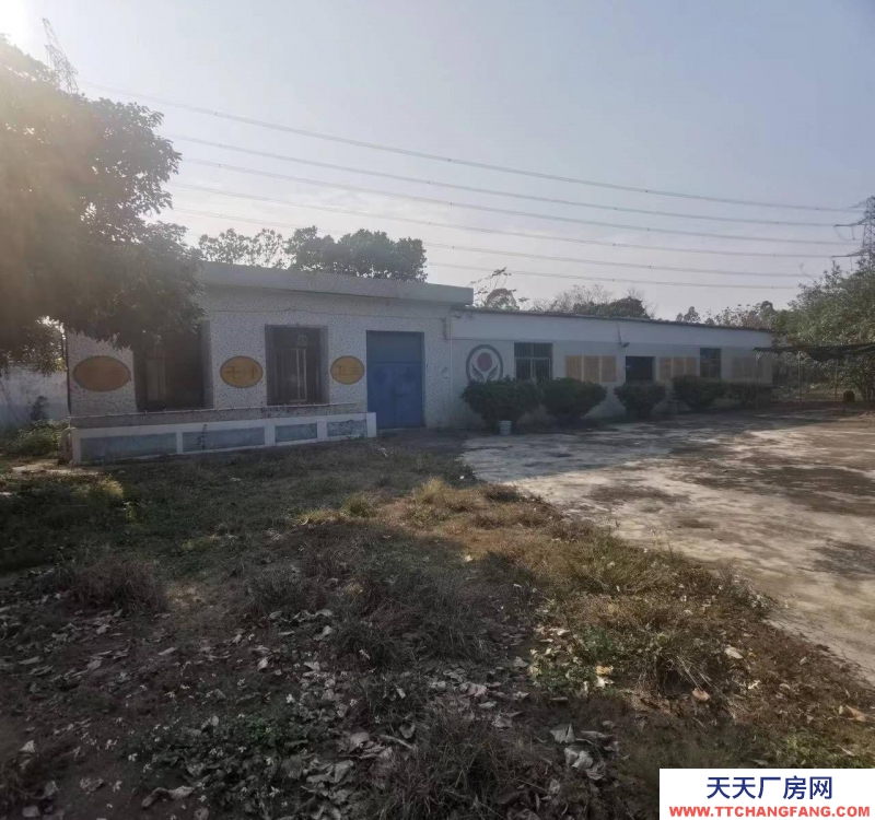 (出租) 阳江阳西求整租，有围墙保安亭，临近高铁站高速口国道适合机械加工