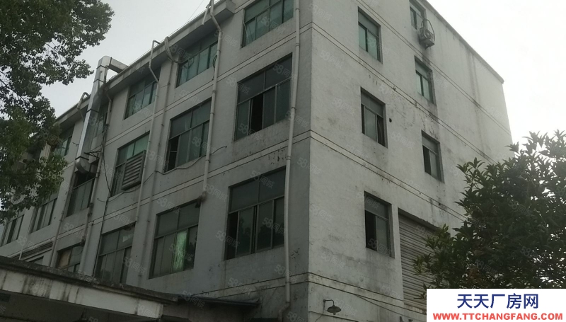 金华市东阳(出售) 东阳五马塘独门独院厂房，紧挨义乌