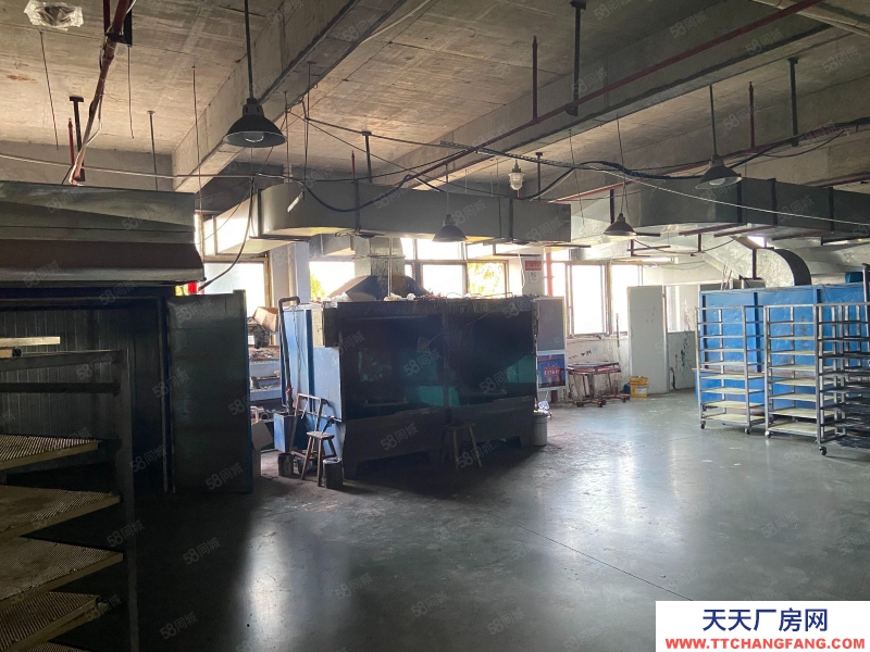 金华市东阳(出售) 东阳五马塘独门独院厂房，紧挨义乌