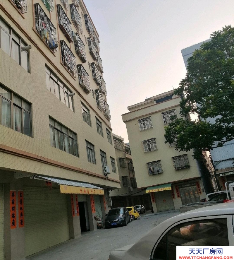 (出租)阳江阳西厂房里面宽旷，周边人员密集，服务太度好，交通方便。有停车场