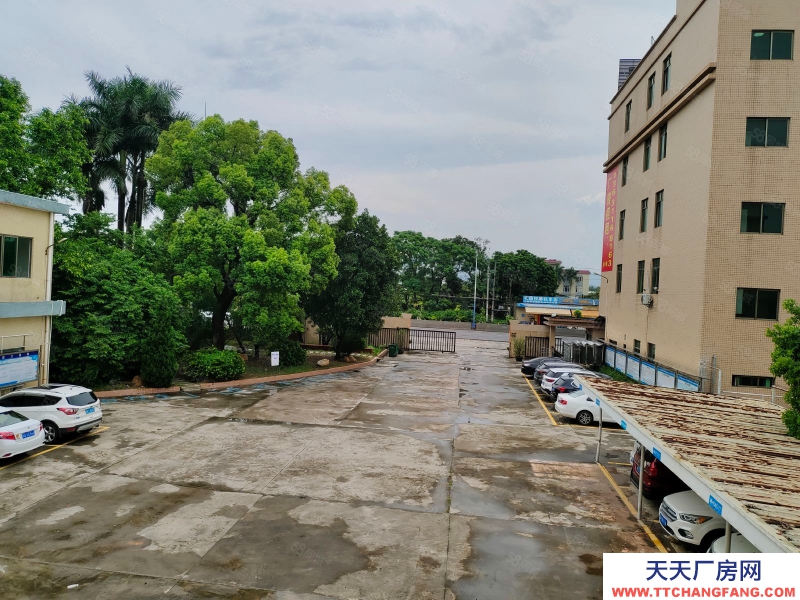 (出租) 阳江阳东合山厂房原房东出租，可做五金加工，包装，小加工，空地大