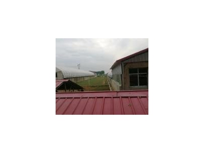 (出售)信阳固始住房2间，牛圈，羊圈，鹅棚，养鸡场，鱼塘，龙虾塘图1