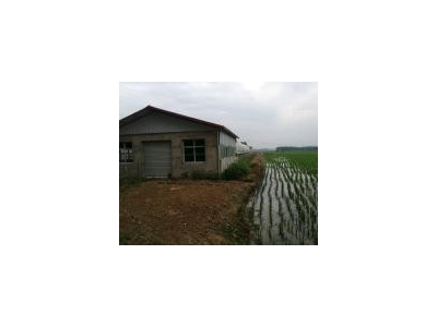 (出售)信阳固始住房2间，牛圈，羊圈，鹅棚，养鸡场，鱼塘，龙虾塘图4