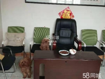 银川市永宁物资仓库 三沙源向南2公里处农村带院砖瓦房（可干农家乐，有果园）图4