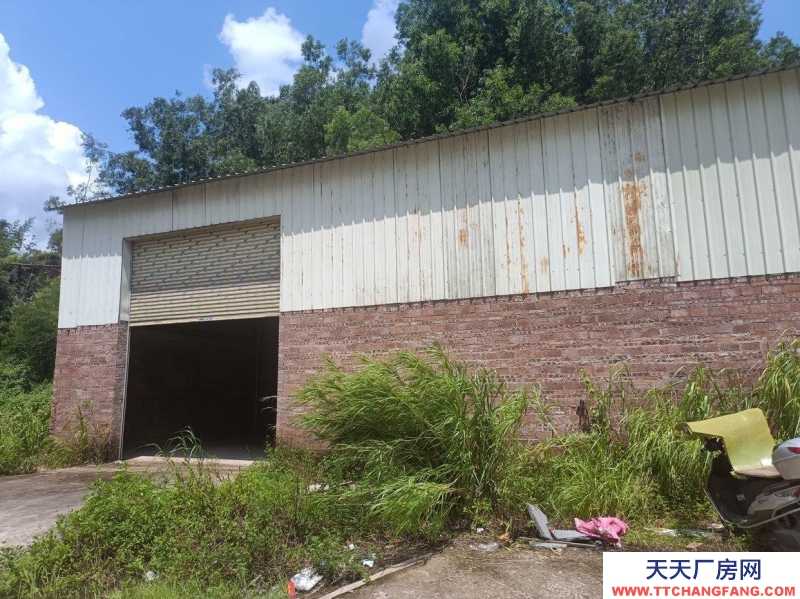 (出租) 阳江阳春交通便利大型货柜车可进出做仓库或小型工厂三相电有个停车位
