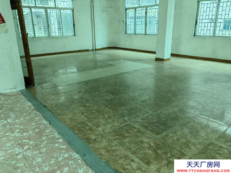(出租) 阳江江城二环路城南附近 900方仓库 加工厂 电商 废品回收