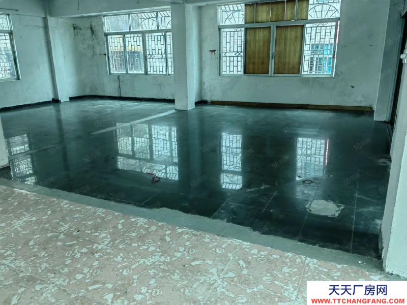 (出租) 阳江江城二环路城南附近 900方仓库 加工厂 电商 废品回收
