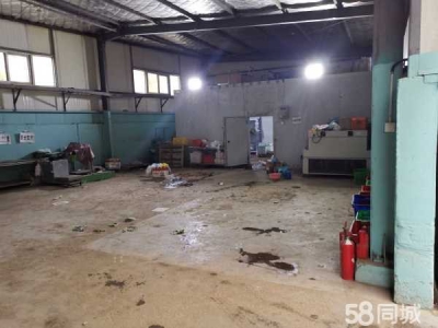 银川市永宁物资仓库 出租永宁四季鲜蔬菜批发市场库房带冷库图2