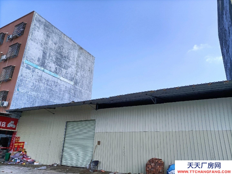 (出租) 阳江江城位于雅白线旁，交通十分便利，可做仓库，厂房，商铺