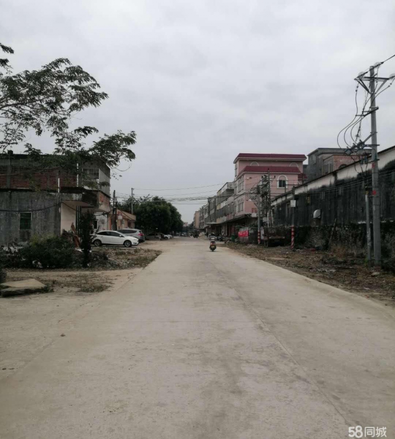 (出租) 阳江江城仓库近津朗旧325国道城郊中学物流仓库图1