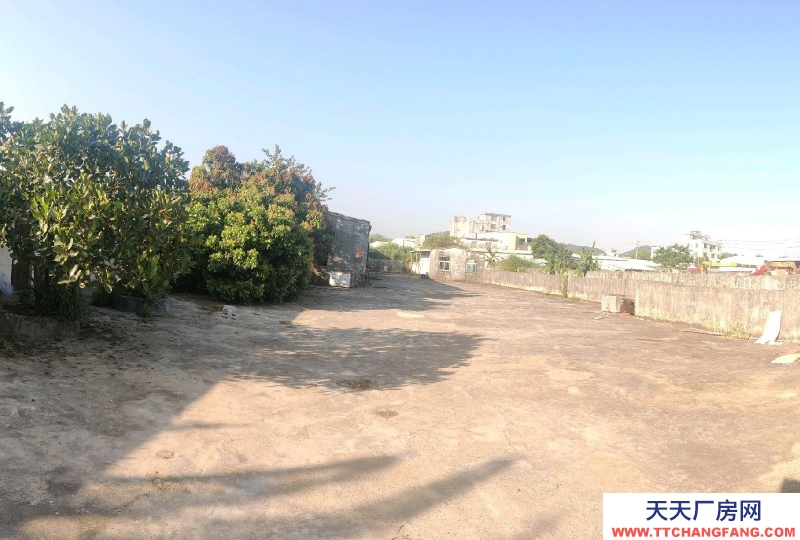 (出租) 阳江江城仓库出租，共2400，仓库+住房+办公室+厨房+空地适合屠宰