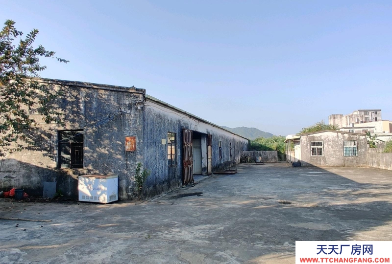 (出租) 阳江江城仓库出租，共2400，仓库+住房+办公室+厨房+空地适合屠宰
