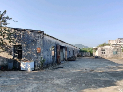 (出租) 阳江江城仓库出租，共2400，仓库+住房+办公室+厨房+空地适合屠宰图1