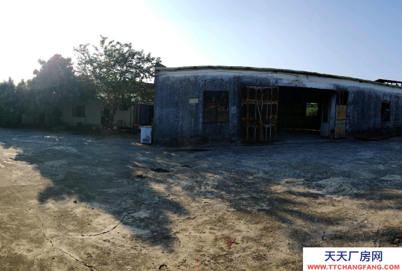 (出租) 阳江江城仓库出租，共2400，仓库+住房+办公室+厨房+空地适合屠宰