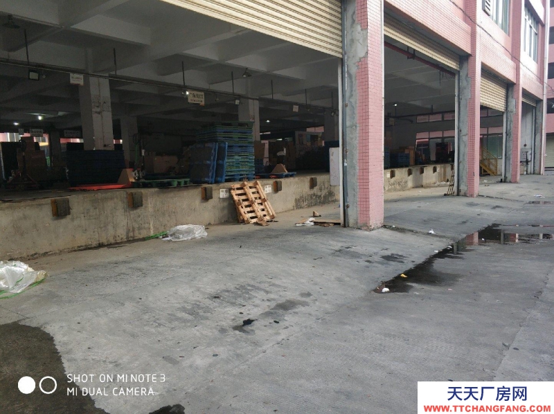 (出租) 阳江阳东专业物流场地 出入方便物流仓库
