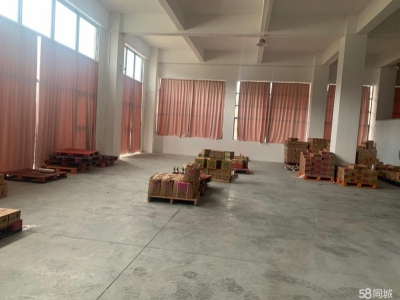 (出租) 阳江阳东仓库出租，阳东工业园新325国道边，集装箱仓库图1