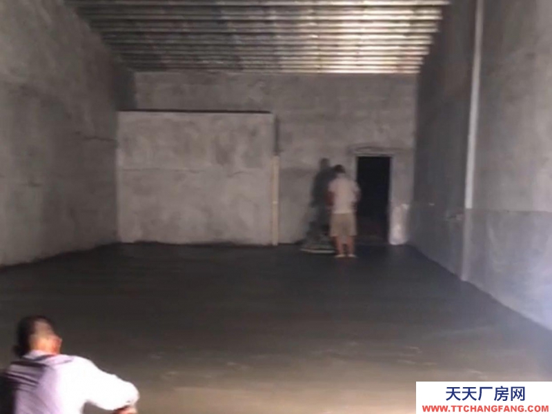 (出租) 阳江阳春莲平小学附近500米左右，可做电商仓库