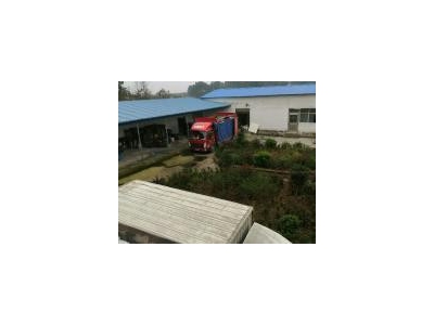 (出租) 信阳潢川低价出租出售仓库带冷库设备三相电带车位位置优越价钱便宜图1