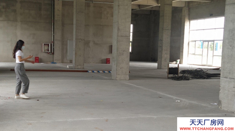 沧州 新华(出售) 出售沧州开发区厂房 单层厂房多层食品厂房可定制