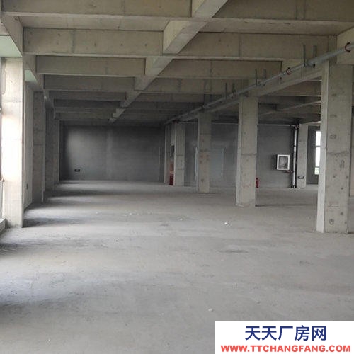 沧州 新华(出售) 沧州葡萄酒及果酒厂房1000-10000平米 面积可分割可贷款