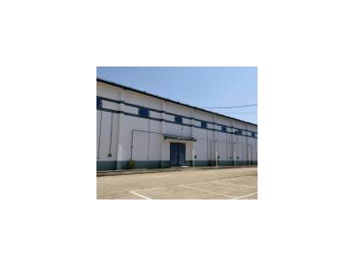 (出租) 信阳息县交通便利，仓房设施齐全。图1