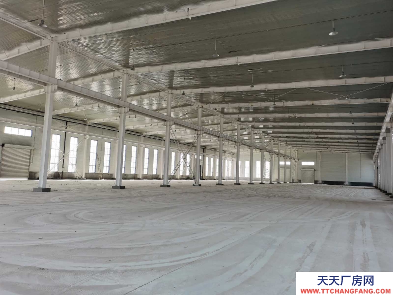 沧州 黄骅(出售) 出售沧州市黄骅南大港高新区新建独院豆制品厂房