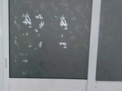 沧州 黄骅(出租) 青青家园车库精装出租图3