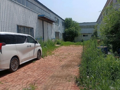 沧州 黄骅(出租) 厂房钢架结构，水泥地面，卸货装货方便图1