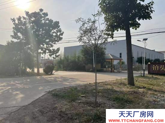 沧州 泊头(出租) .沧州泊头新建3000平标准天车蔬菜制品厂房出租（直租）