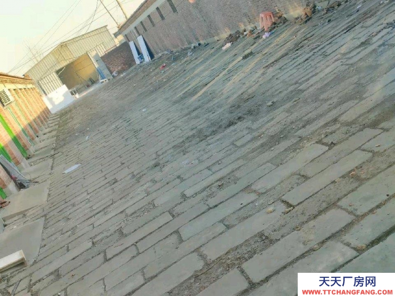 沧州 泊头(出租) 裕华路铁路大桥附近平房出租