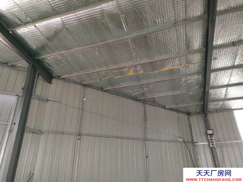 沧州 泊头(出租) 裕华路北头多个仓库出租