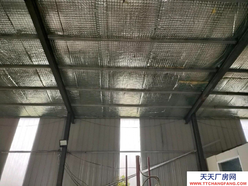 沧州 泊头(出租) 裕华路北头多个仓库出租
