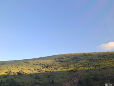 (出售) 包头固阳地處包頭市固陽縣前期交界處無污染，環保養豬場图1