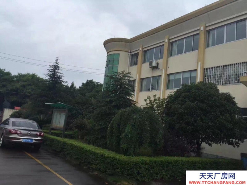 衢州市柯城(出租) 800-900平方米 整楼或分层出租