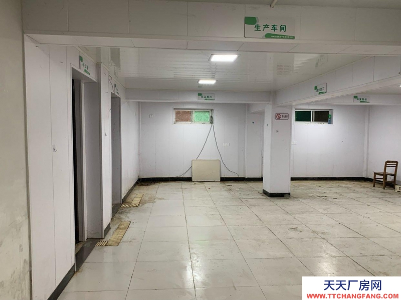 衢州市柯城(出租) 双港中路200平米地下仓库出租（可作冷冻库或小型加工厂）