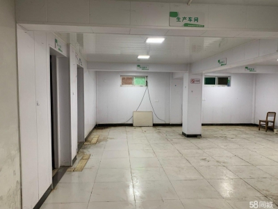 衢州市柯城(出租) 双港中路200平米地下仓库出租（可作冷冻库或小型加工厂）图1