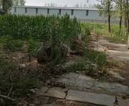 (出租) 驻马店西平安全可靠，交通便利，
