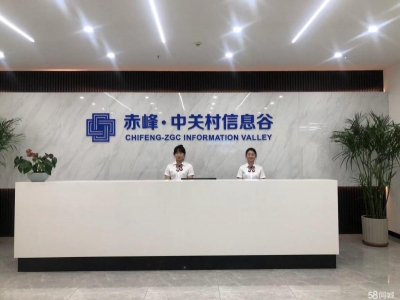 (出租) 出租赤峰中关村信息谷科技创新基地标准厂房 粮食厂肉制品厂图2